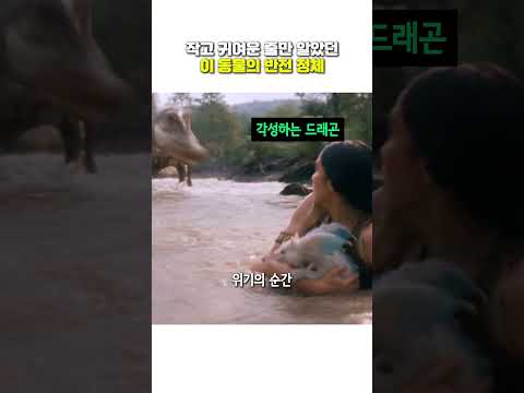 <strong>작고</strong> 귀여운 줄만 알았던이 동물의 반전 정체