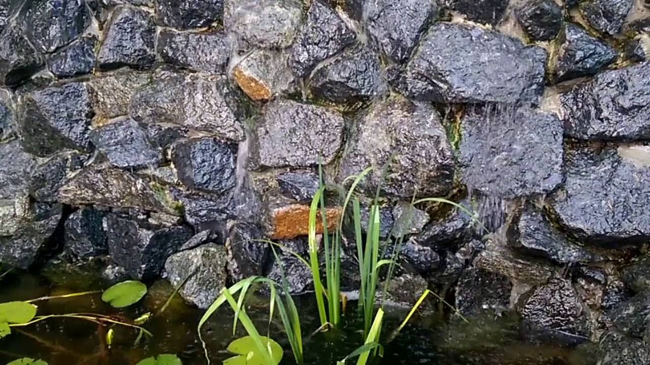 Зелень камень и журчание воды интерьер. Журчание воды звук. Звук журчания воды для горшка. Журчание чтобы пописать