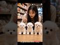 Only One Puppy Is Real ? 😳 Can You Guess ? 🐕