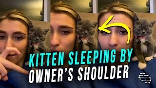 Kitten Sleeping by Owner’s Shoulder and Getting Really Cozy