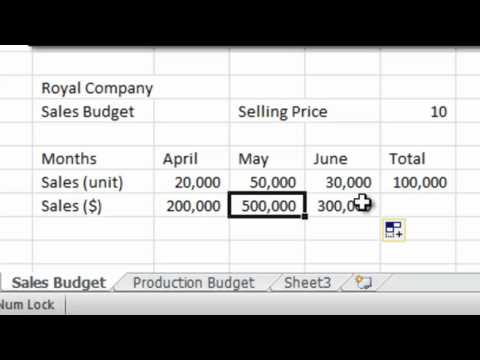 Sales Budget