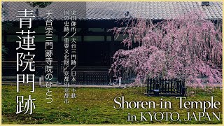 初版！最後の1枚！大野麦風 木版画「京都青蓮院の庭」 初版！最後の1