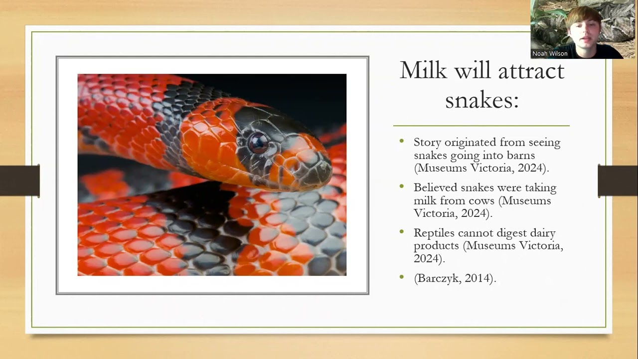 Snakes & Misconceptions Part 3