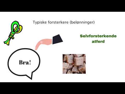 Video: Forsterkende bur: designfunksjoner