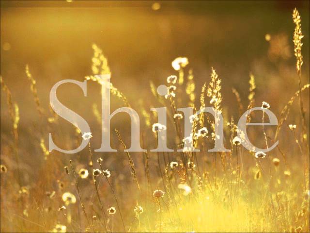 YouTube에서 Birdy Shine(Lyrics) 보기 YouTube에서 Birdy Shine(Lyrics) 보기