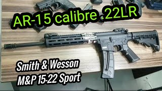 Ar15 Em 22Lr Vale A Pena? Smith & Wesson M&P 15-22 Sport. Arma Cara, Munição Barata Na Plataforma M4