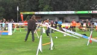 Rokka European Open 2011, Agility Individual