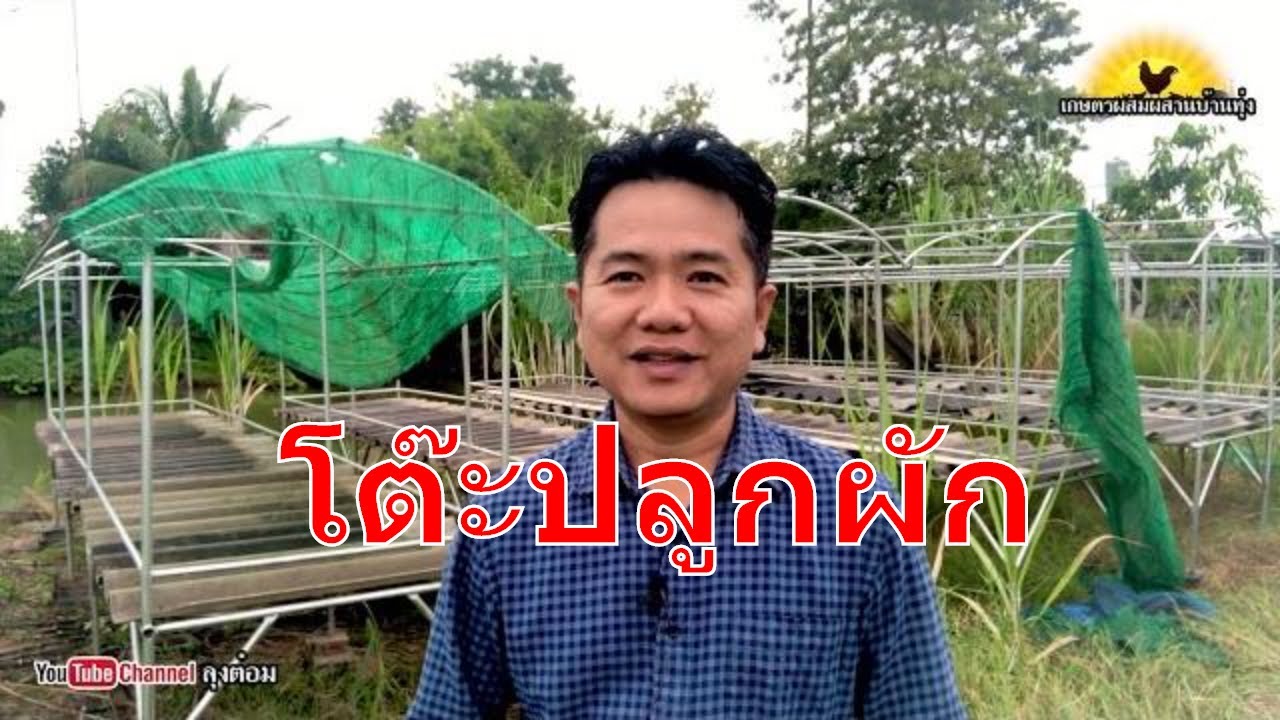 โต๊ะปลูกผัก 2,900บาท เกษตกรมือใหม่ ต้นแบบจากไร่คุณพ่อ |ลุงต๋อม เกษตรผสมผสานบ้านทุ่ง
