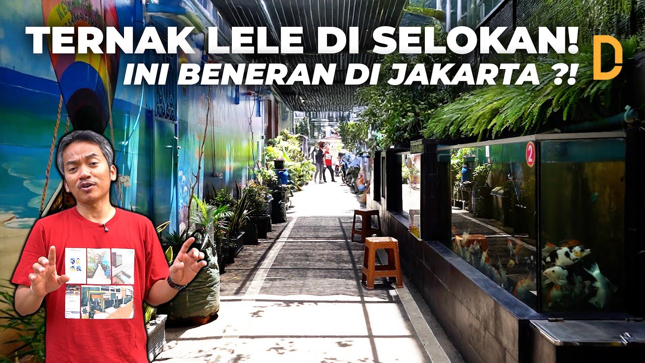 Hah?! GANG INI TERKENAL DI CHINA DAN KOREA !!