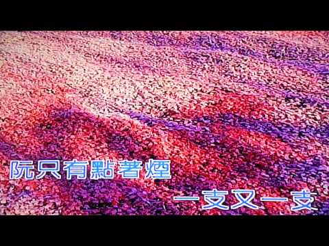 相思雨