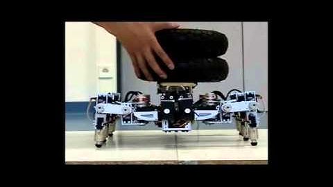 Hexapod robot AMOS II: Passive compliances