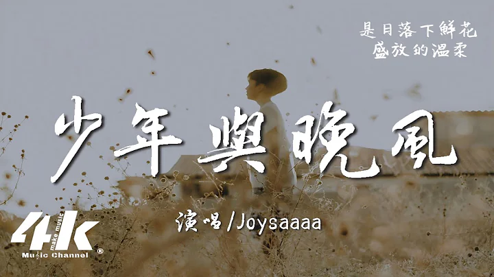 Joysaaaa - 少年與晚風『少年是我眼中 最盛大的晚風，也是我朝思暮想遙遠的夢。』【高音質|動態歌詞Lyrics】♫ - 天天要聞