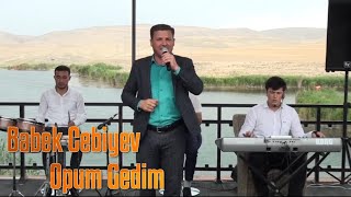 Babek Cebiyev - Yanaginan Opum Gedim 2024 (Remsi Klip)
