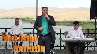 Babek Cebiyev - Yanaginan Opum Gedim 2024 Remsi Klip