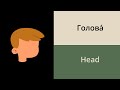 Body parts in Russian // Russian vocabulary for beginners