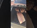 Summer cook out!@SillySalmonFishing #rock #bbq#grilling#cookingtechnique