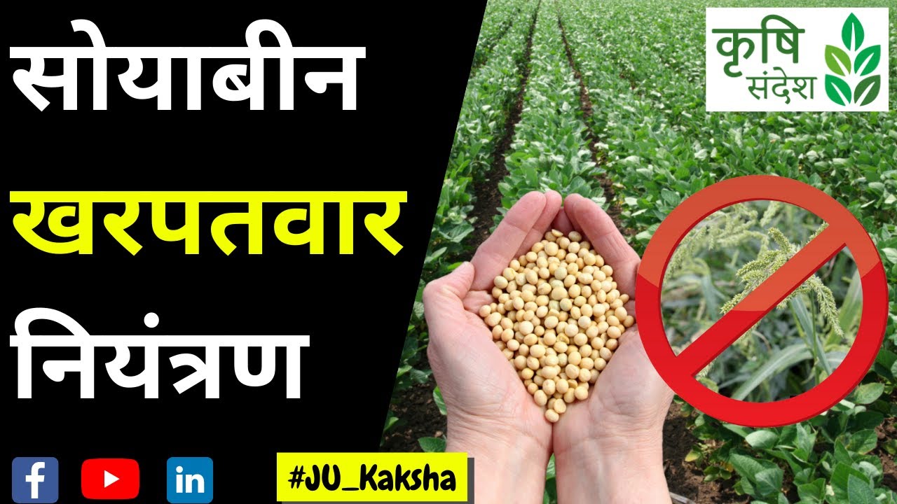 Soybean खरपतवार नियंत्रण Kharif ki fasal YouTube