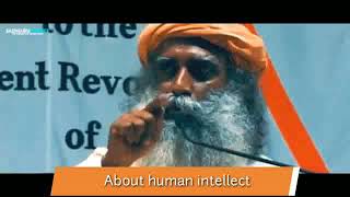 Sadhguru daily whatsapp status -