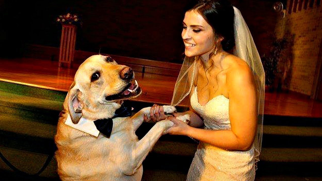 bride dancing with dog