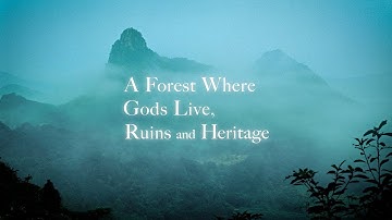 A Forest Where Gods Live, Ruins and Heritage / Concept Movie (English)