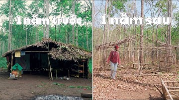 Thăm Lại Căn Nhà Trong Rừng