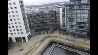 Views out of my window