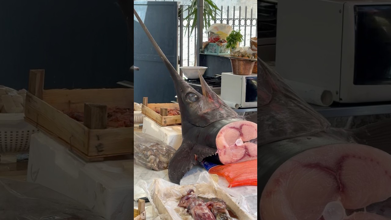 🐟 Spectacular Fish at Mercato di Ballarò – Palermo’s Vibrant Market 🇮🇹✨