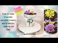 Succulent Pot Cake - How to make a flower pot cake.