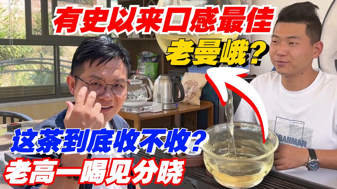 有史以来口感最佳老曼峨？这茶到底收不收？老高一喝见分晓！购茶请加微信/赖line2号店：HDLG002（同号，搜索即可）