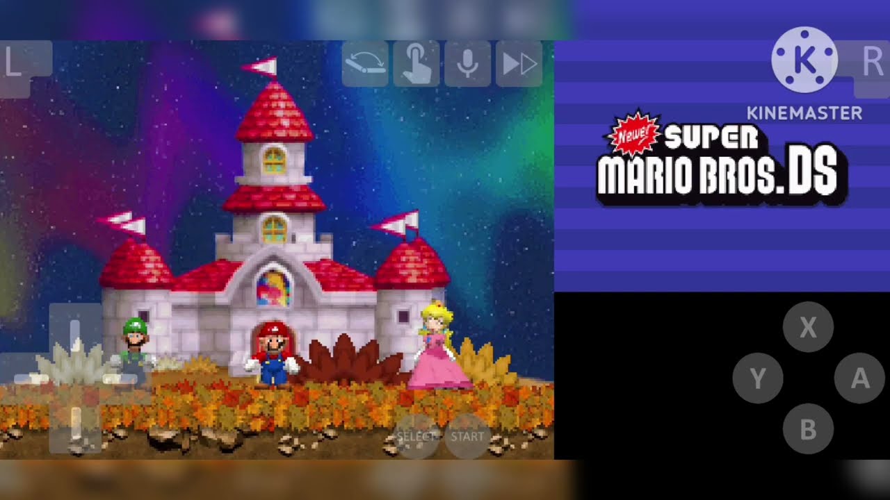 Newer Super Mario Bros Ds - Final Boss duo (Bowser and Bowser Jr.)