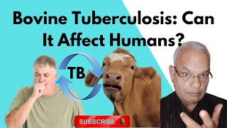 Bovine Tuberculosis: Can It Affect Humans Exploring the Risks and Realities
