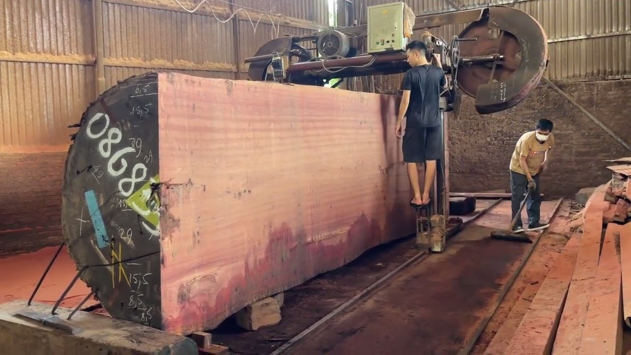 Synthesize The Process Of Sawing And Sawing Wood With Beautiful Scenes Within 8 Minutes YouTube