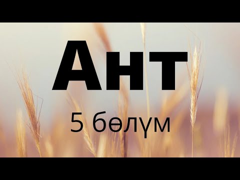 Video: Бийик такалуу тамандын 5 терс таасири