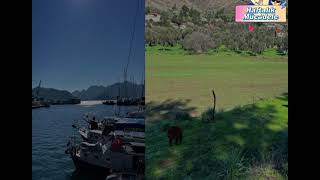 İzmirin Kavakları - İzmir Yöresi - Derleyen: Muzaffer Sarısözen, Kaynak: Ekrem Güyer