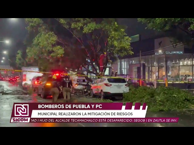 🌳🚨 Enorme árbol cae sobre tres vehículos en el bulevar Hermanos Serdán | SICOM Noticias