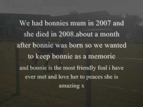 Bonnie-The start to somthing amazing _xx