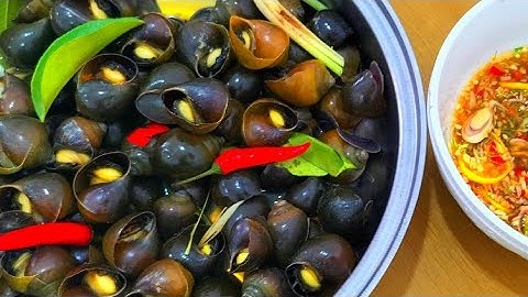 Cách Luộc Ốc Giòn Ngon và cách làm nước chấm  đặc sắc Của Cô bán ốc
