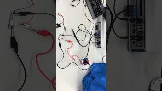 IMG 7966