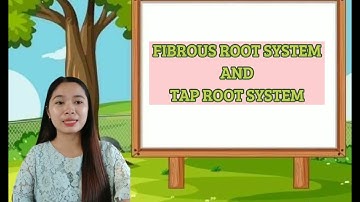 FINAL PROJECT: MICROTEACHING