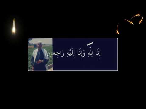 الشيخ ابراهيم علي فخرالدين سورة القصص