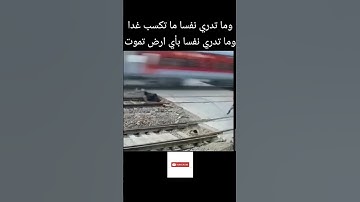 القران الكريم #audio #اكسبلور #الغلا #anime #الرحمن #music #انمي #المراه #لايك #automobile