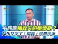政治辯論與黨派對立