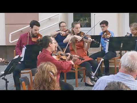 Anima Musicae