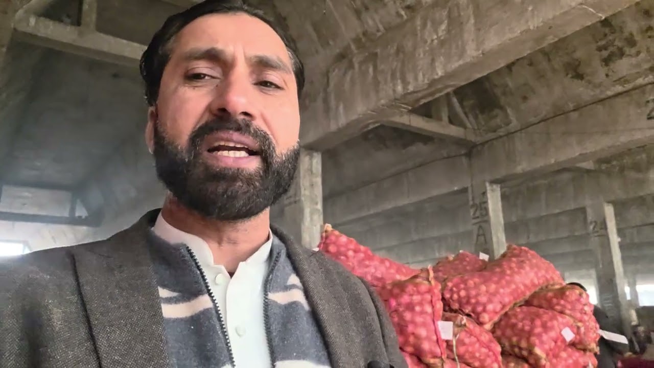 Jan 14 2026 ​Fresh Onion Stock Arrived  Quality Price Update in Lahore Mandi​ sindh vs Local  better