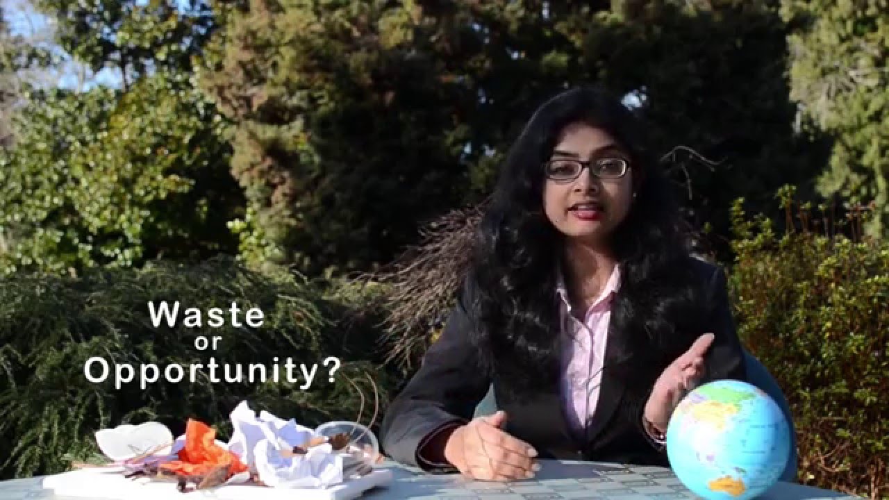 Schmidt-MacArthur Fellowship '16 Wildcard Entry