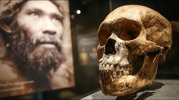 Scientists Unearthed a Dozen Denisovan Fossils