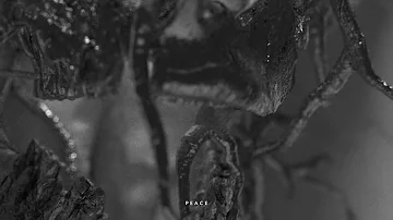 Demon Hunter "Peace" (Listening Video)