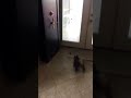 There’s a door there…
