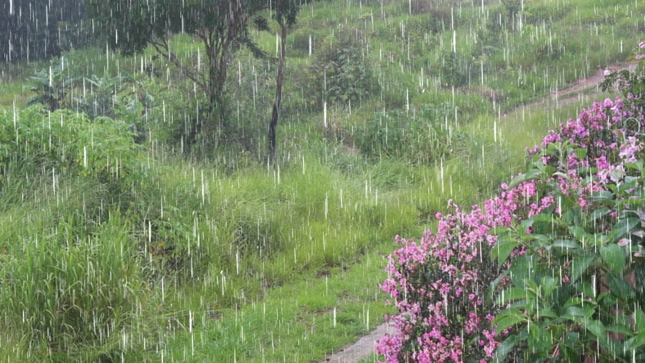 Fall into Deep Sleep Immediately with Powerful Rainstorm on Road of