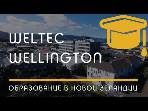 Video: Wellington Vleespastei